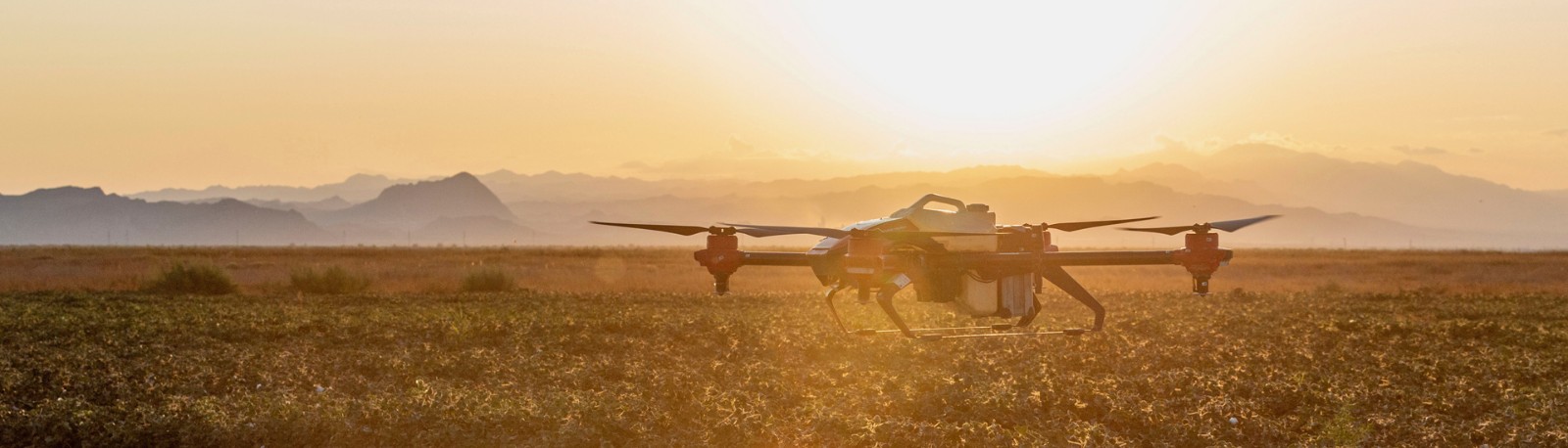 1582117629754539.jpg 15766524194143161.jpg